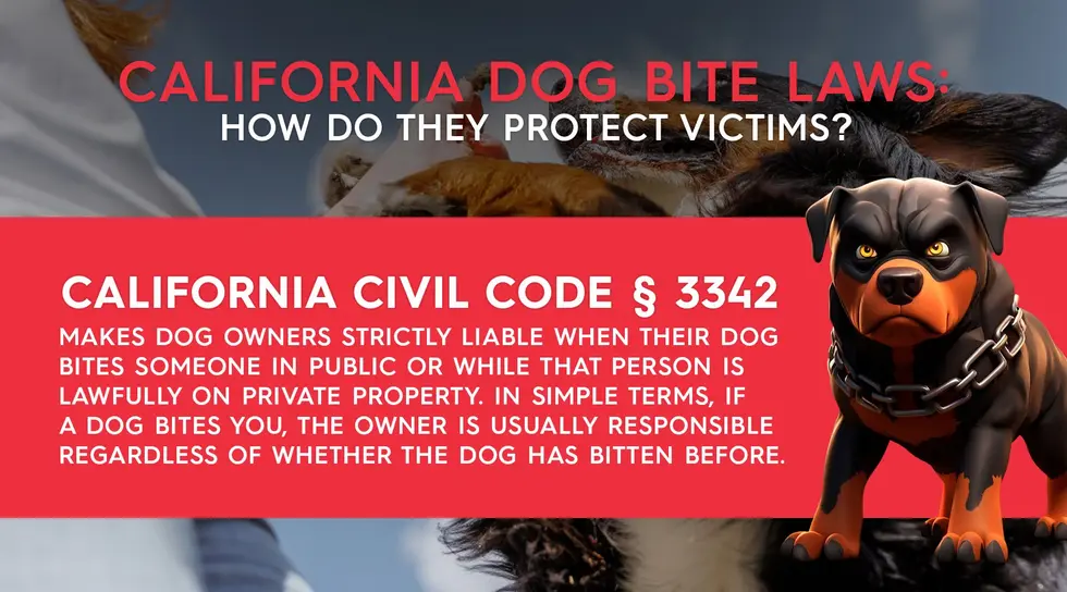 California Dog Bite Laws