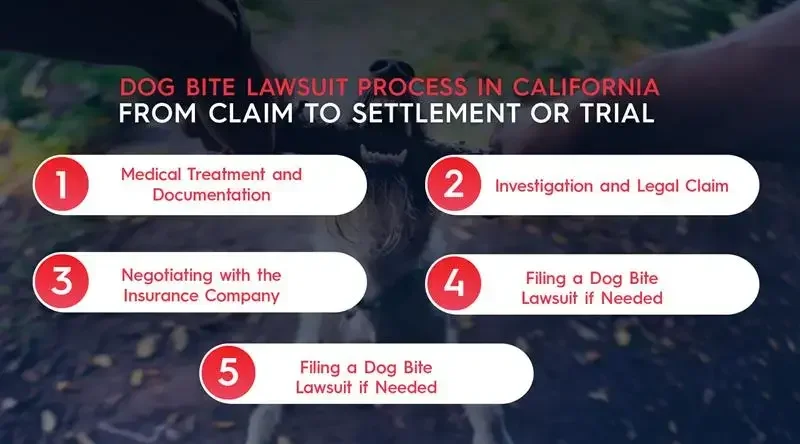 Dog Bite Lawsuit Process in California