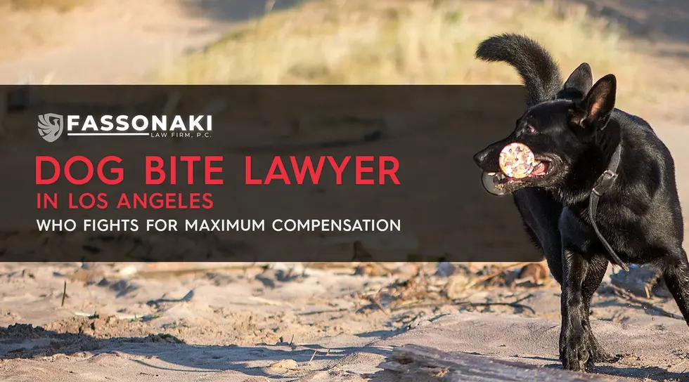 Dog Bite Lawyer Los Angeles