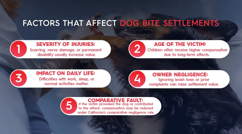 Factors That Affect Dog Bite Settlements